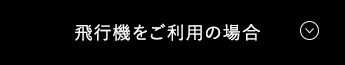 飛行機をご利用の場合