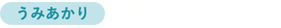 うみあかり 鰤会席プラン