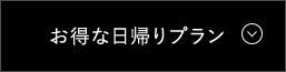 お得な日帰りプラン