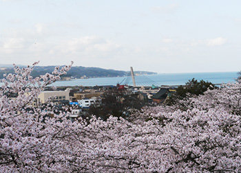 朝日山公園